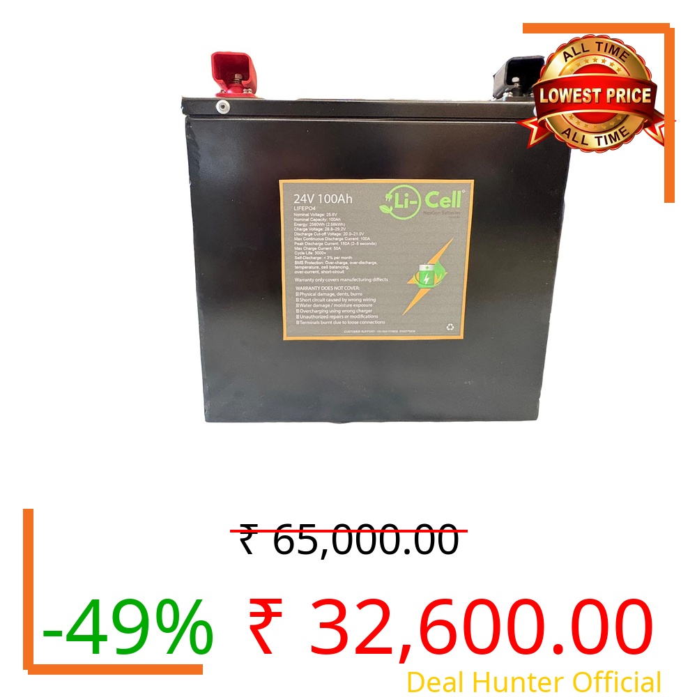 Life Po4 12V 100Ah/ 12V200AH/ 24V100AH/ 24V200AH Lithium Phosphate Battery Pack with BMS Protection (Normal BMS) (12v200Amp)